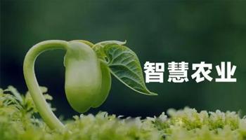 “植物工廠” 是什么，怎么建?